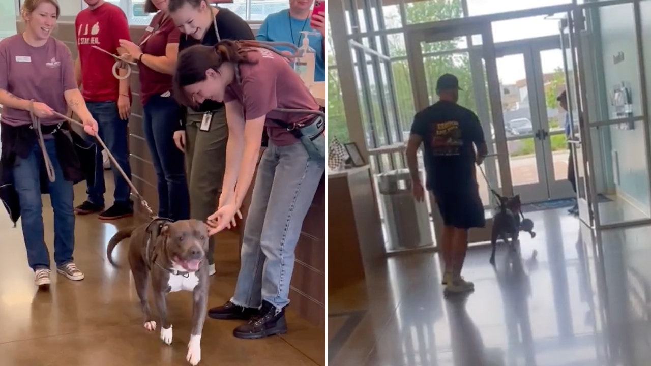 An Indiana dog who was constantly crying at a shelter received good news after a video of their distress reached thousands on Facebook.