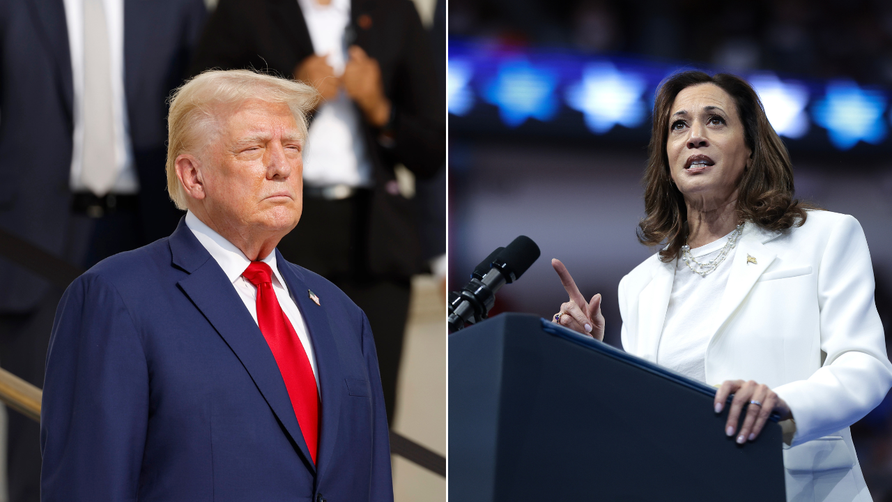 Trump allies propose strategies to defeat Harris in debates: "Already defeated one Democrat"