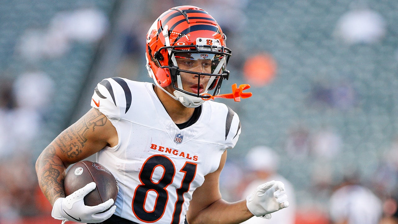 Report: Bengals receiver's absence from season finale was due to alleged assault.