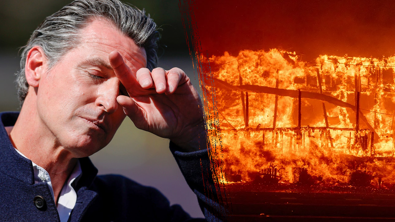 Gov. Newsom reduced the fire budget by $100M prior to deadly California fires.