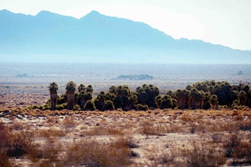 Biden to establish two new national monuments on 850K acres of tribal land in California.