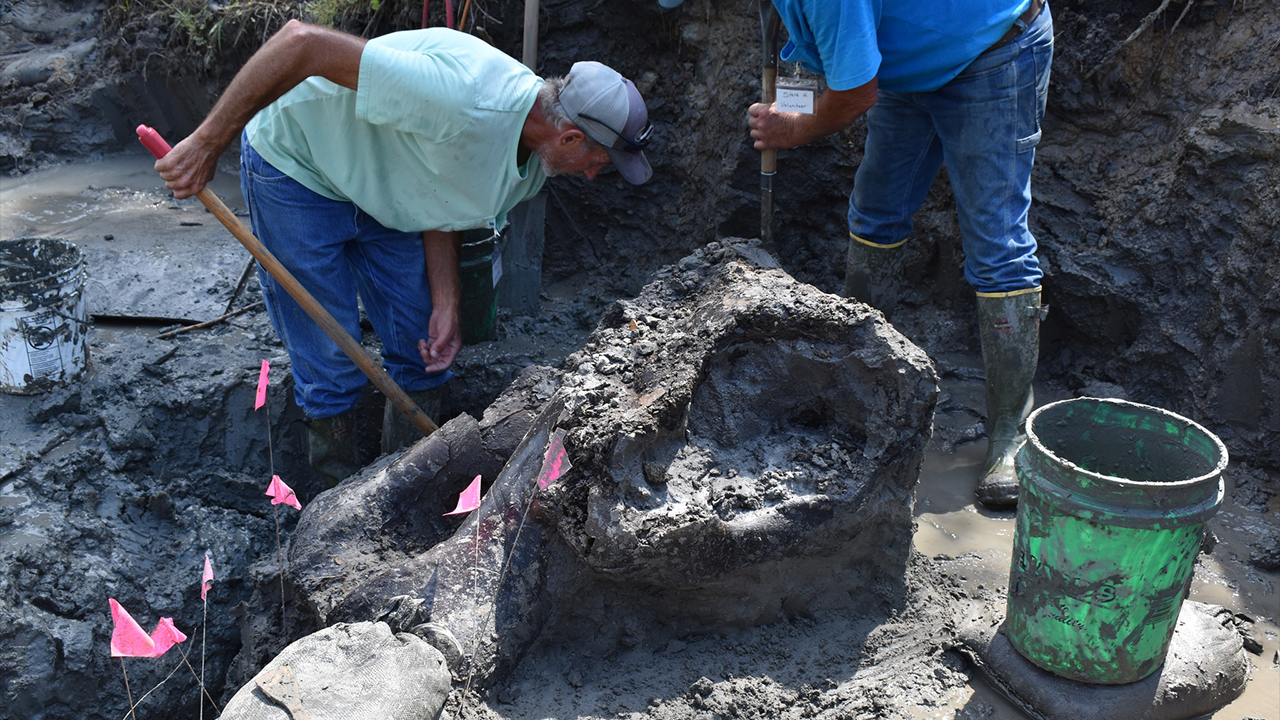 In Iowa, a 13,000-year-old mastodon skull is discovered by archaeologists.