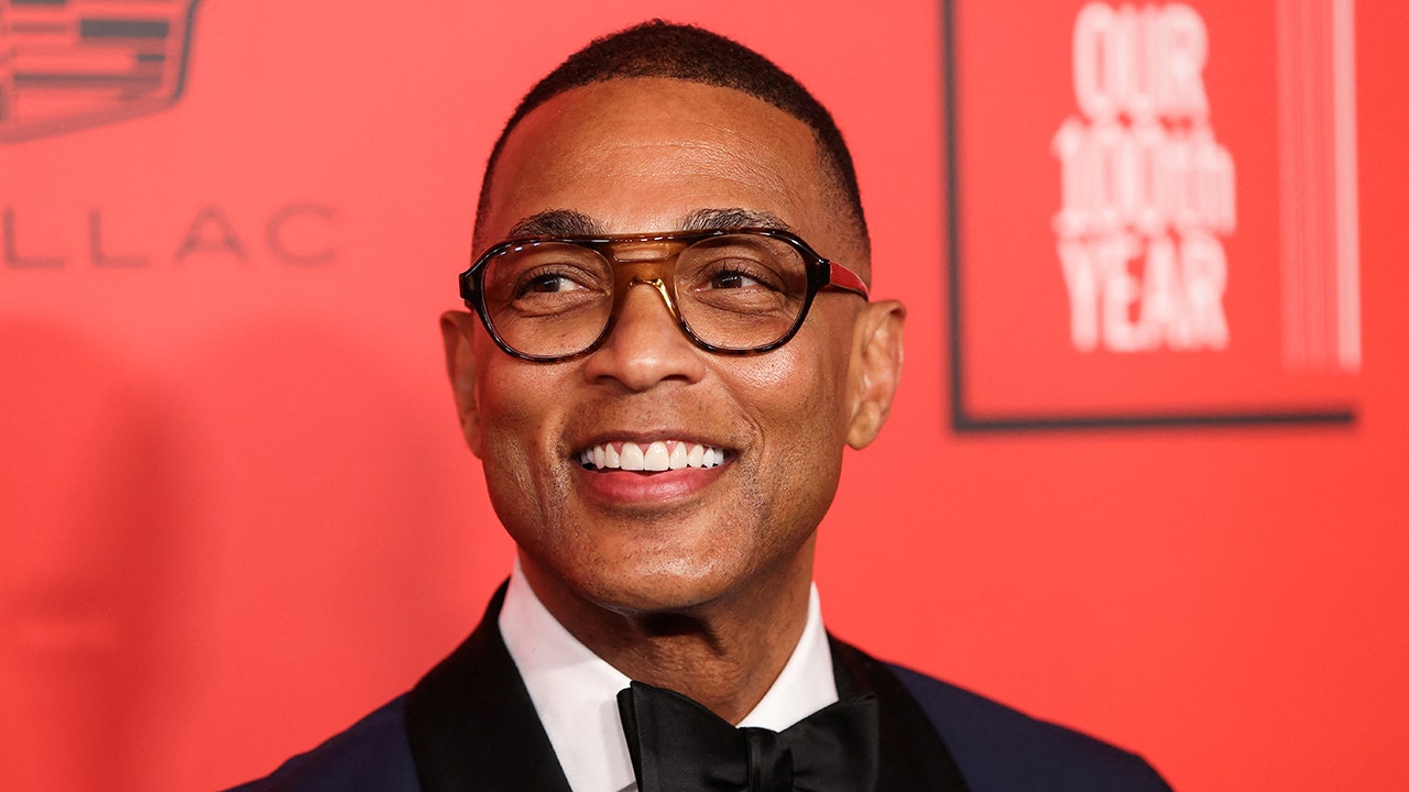 Don Lemon expresses that the misogyny accusations surrounding his CNN firing were extremely painful.