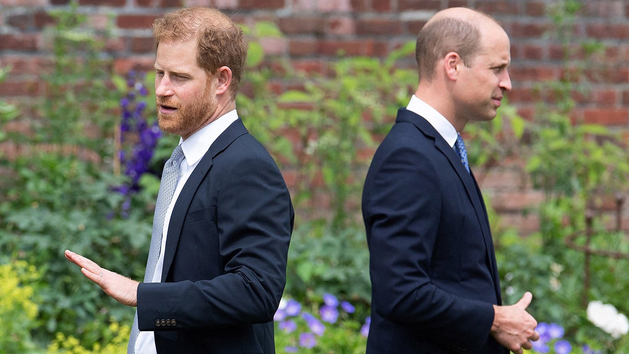 Experts suggest that Prince William and Prince Harry's royal cousins hold the key to resolving the conflict between the brothers and saving the monarchy.