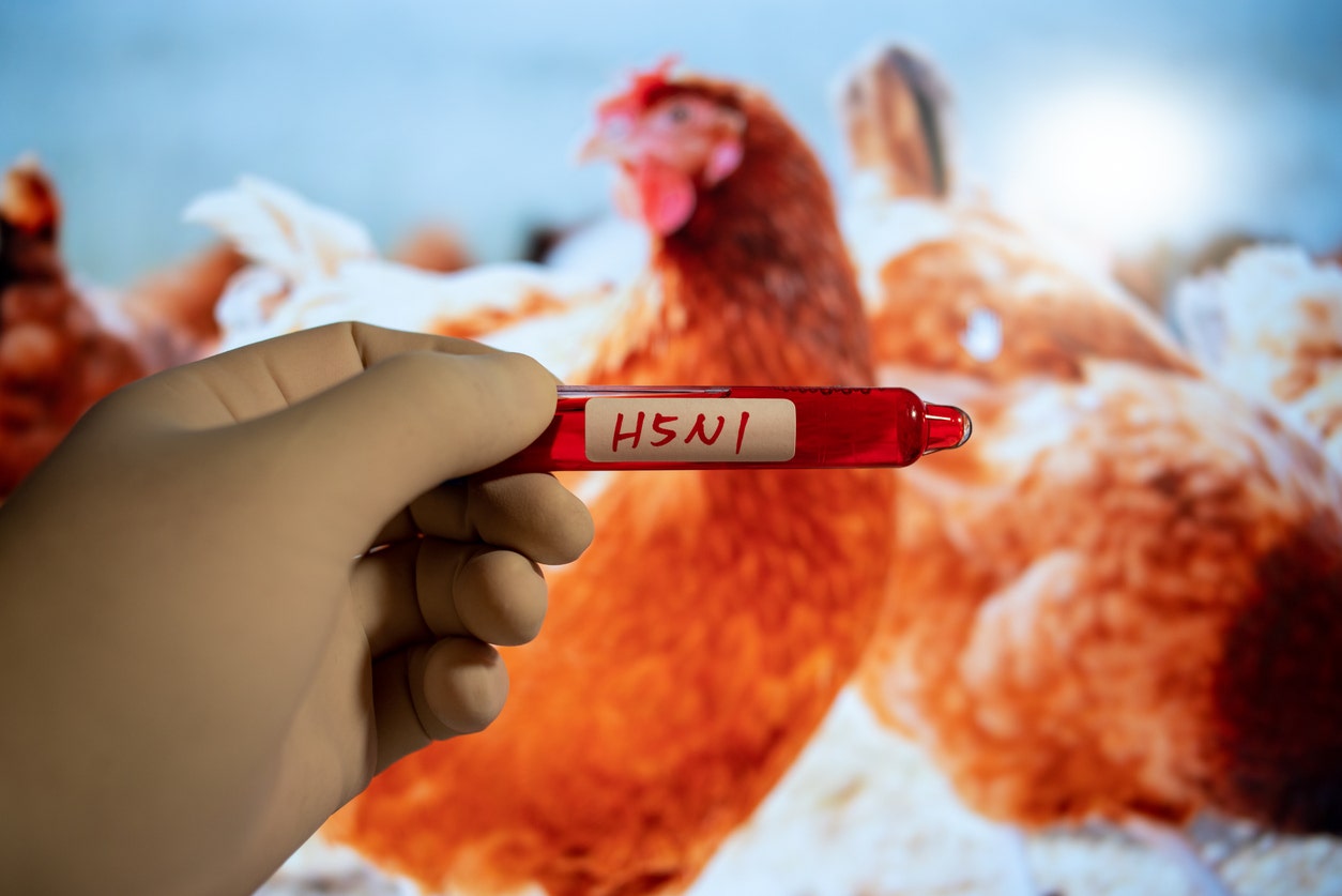 CDC reports first human case of bird flu without animal exposure.