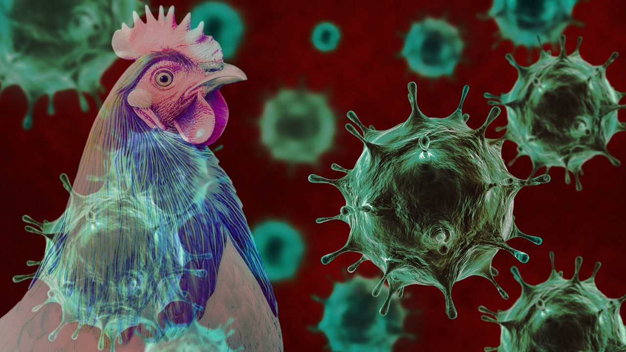 Several US states are experiencing a surge in bird flu cases, with new outbreak reports emerging: 'The situation is deteriorating'