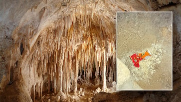 The disruption of the Carlsbad Caverns ecosystem was caused by a bag of Cheetos, according to the National Park Service.