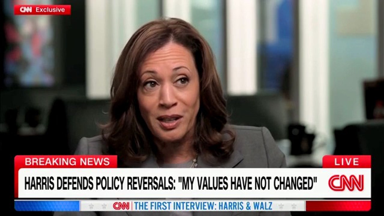 Journalism suffered a setback due to CNN's interview with Harris, according to a political analyst.