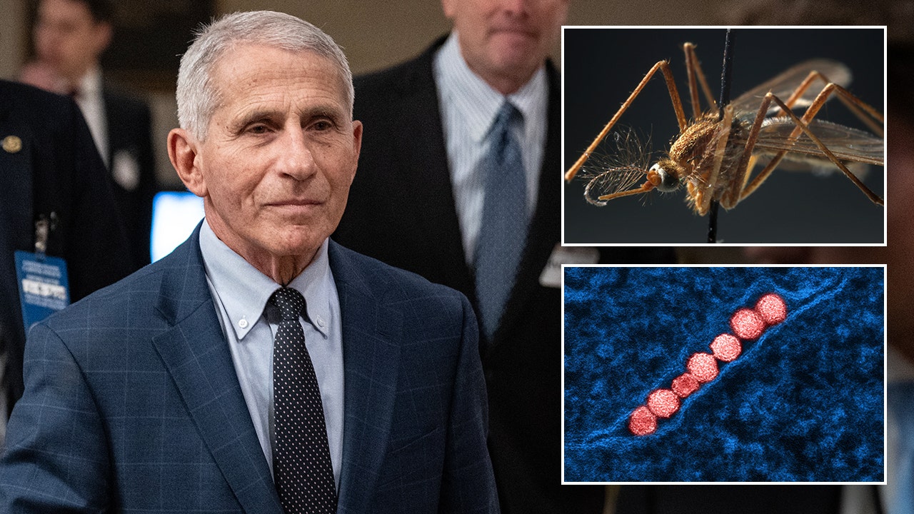 Fauci recovers at home after testing positive for West Nile virus.