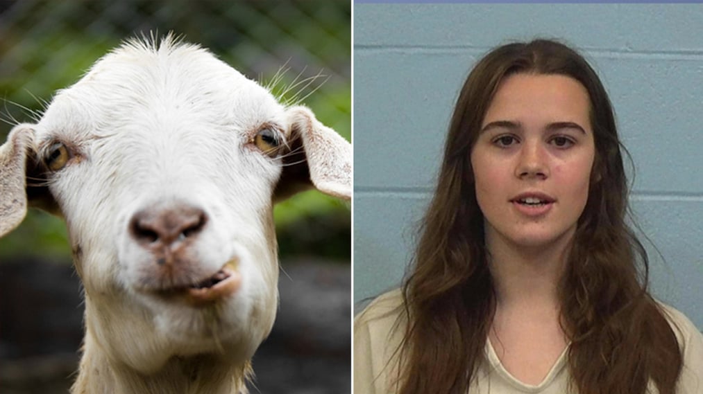 A Texas cheerleader who was accused of poisoning her rival's show goat has been barred from caring for her own pets on her own.