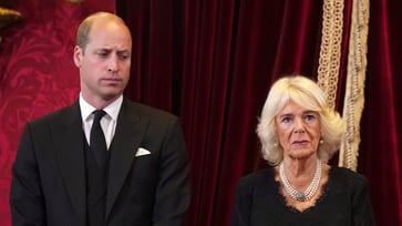 Experts claim that Prince William was unable to tolerate Camilla after she caused the breakdown of King Charles' marriage.