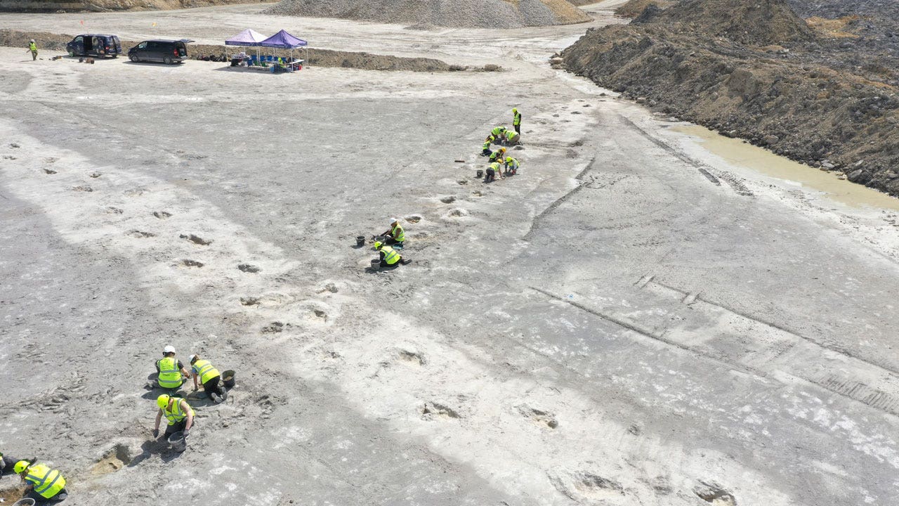 Footprints of dinosaur highway discovered in England, dating back 166 million years.