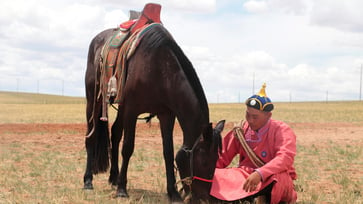 Scientists reveal how humans utilized the ancestry of ancient horses through a new study.