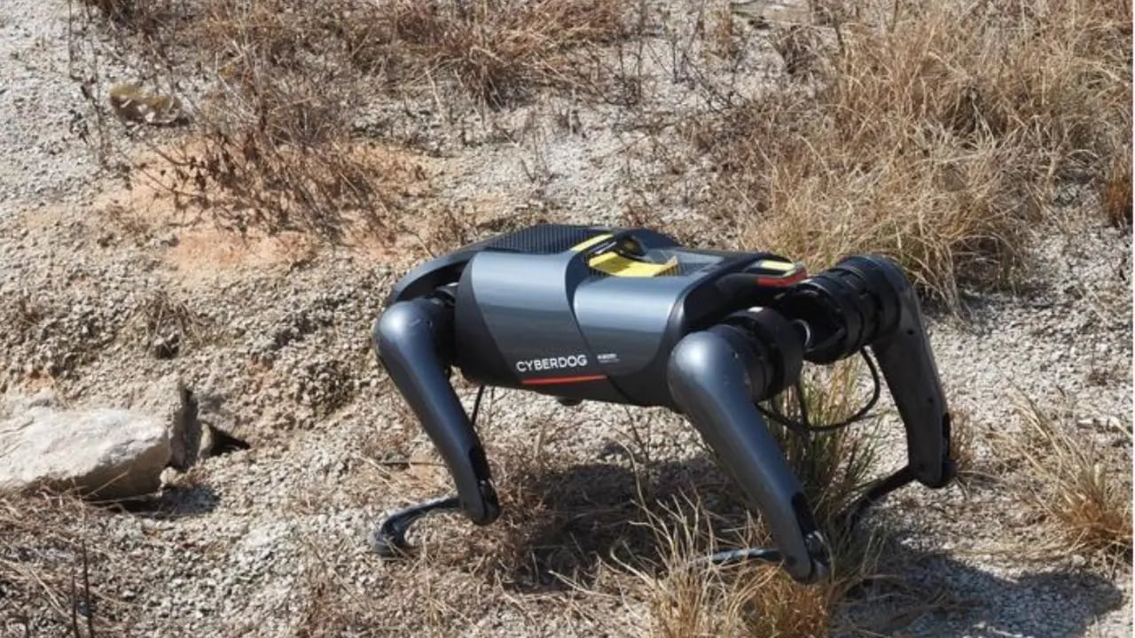 An AI-powered robot detects fire ants.