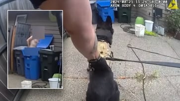 Video footage of a K-9 dog ending a strange chase with a naked suspect: "Well done, boy"