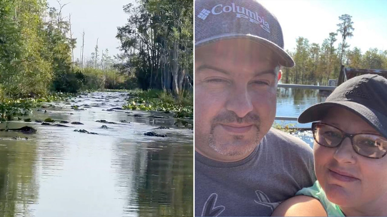 In the Okefenokee Swamp of Georgia, a viral video shows alligators overcrowding a canal.