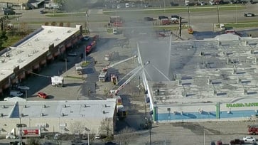 Over 500 animals perished in the fire at the Texas shopping center.