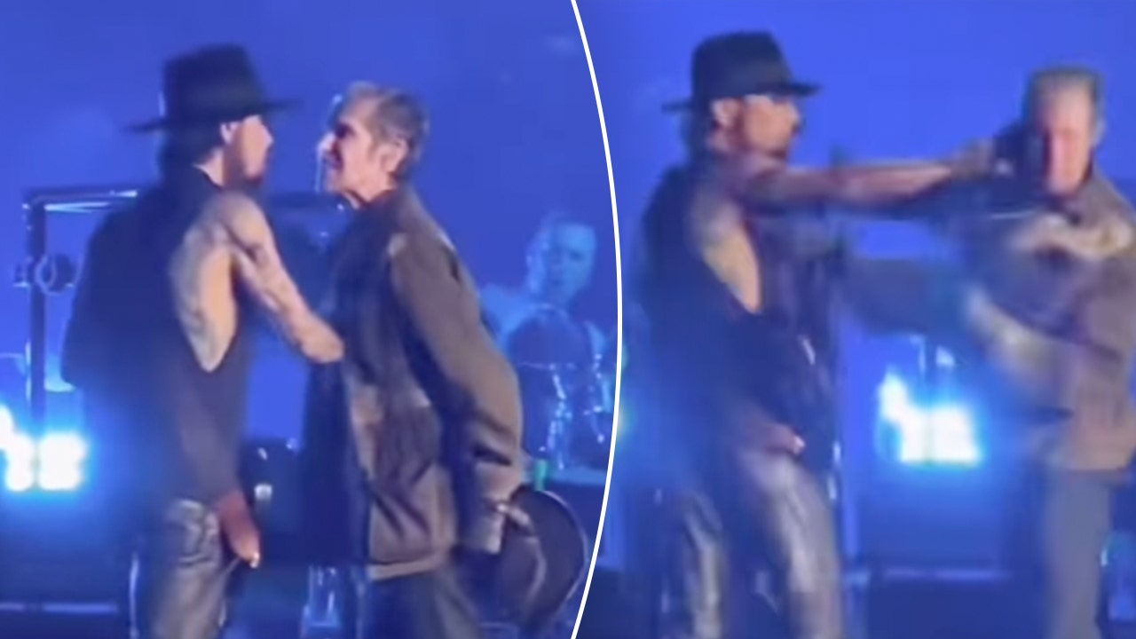 Dave Navarro is punched onstage by Jane's Addiction's Perry Farrell, causing the concert to be shut down.