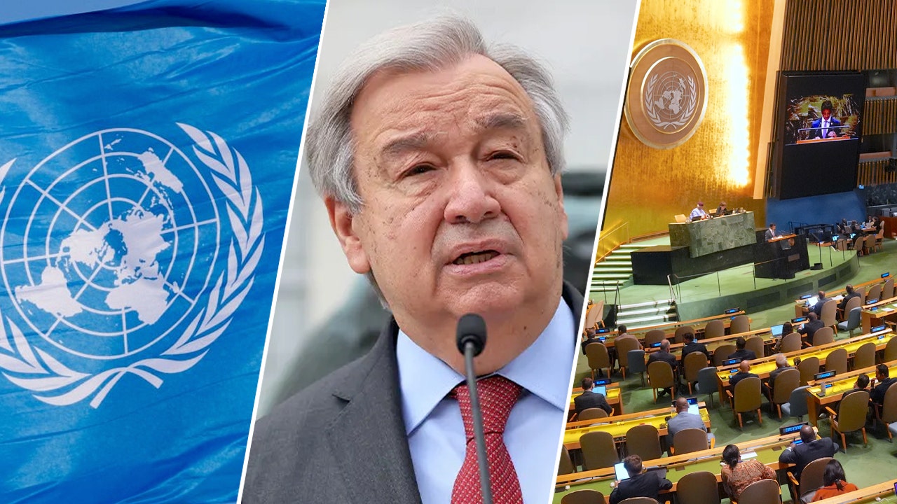 The UN's "Pact for the Future" is a hollow agreement that will be used as a weapon against the United States, according to a warning from an expert.