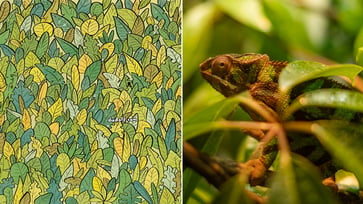 In this puzzle, locate three camouflaged chameleons.