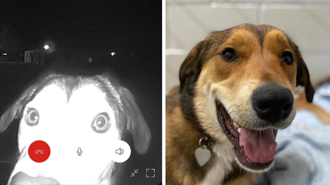 In 2023, strange occurrences were caught on Ring cameras.