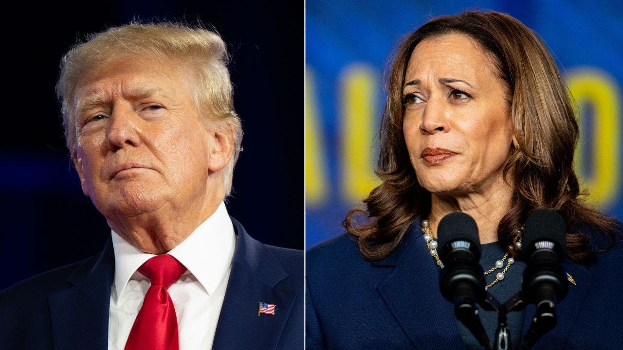 A new Trump website discloses the potential financial impact of a Harris presidency on taxpayers.