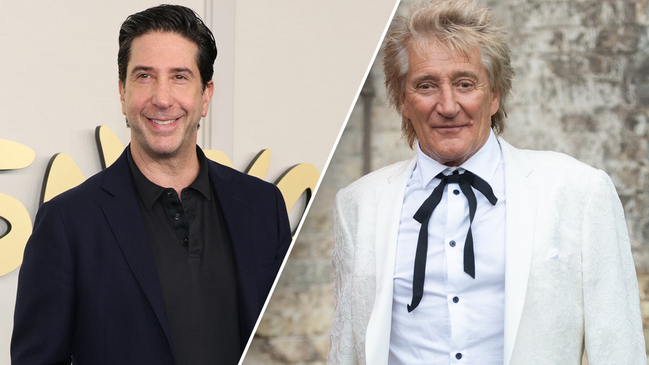 David Schwimmer delivered divorce documents to Rod Stewart.