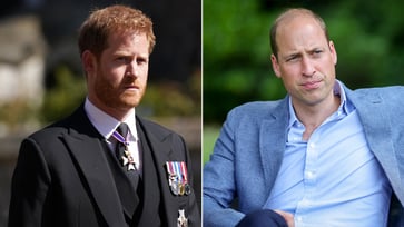 An expert believes that Prince Harry missed an opportunity to mend the feud with Prince William.