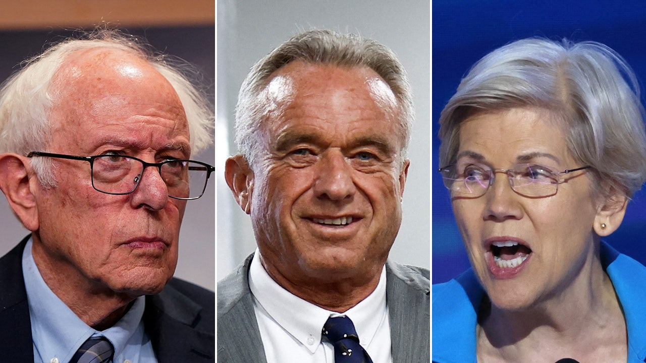 Elizabeth Warren, Bernie Sanders, and other Democrats will meet with RFK Jr.