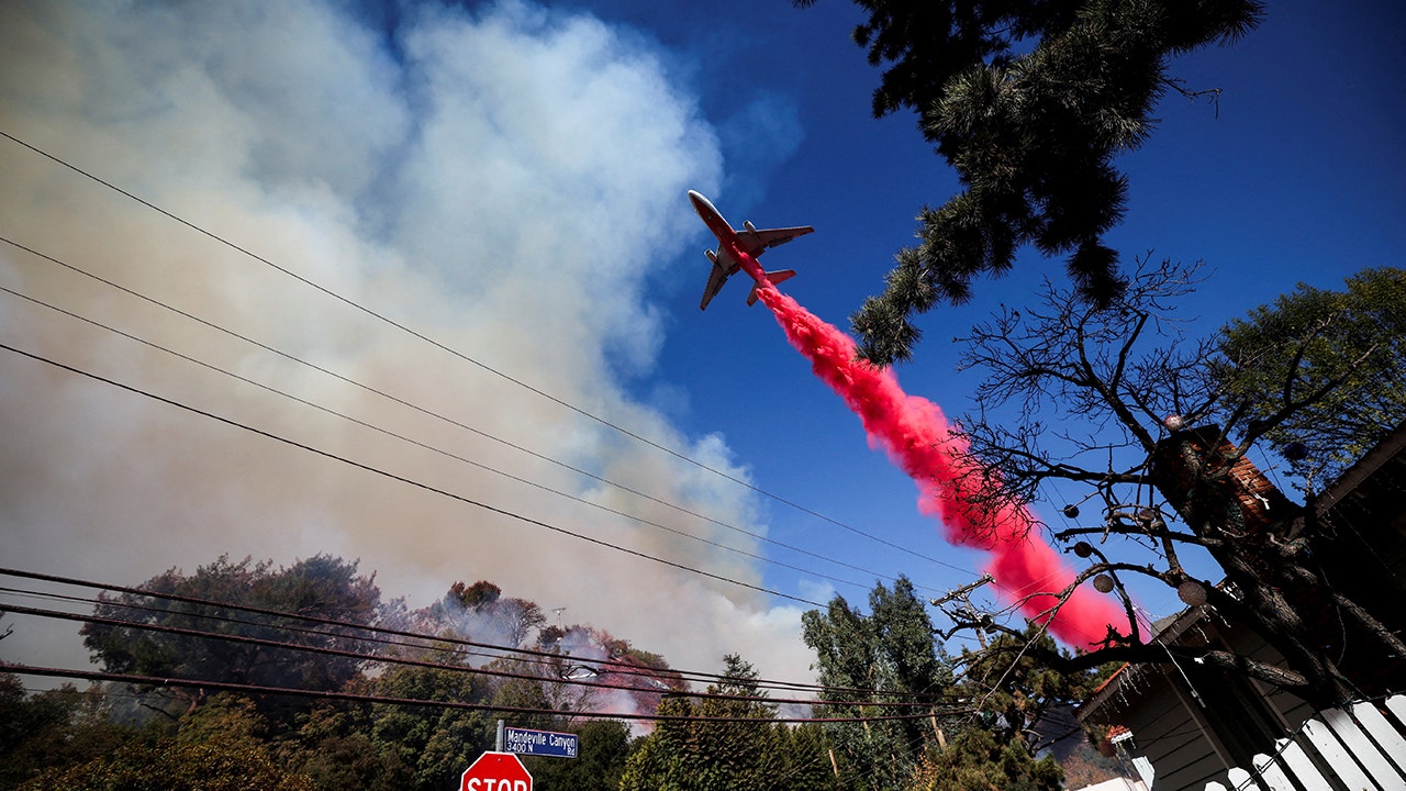 Aerial firefighters leader warns that the LA wildfires should serve as a 'wake-up' call.