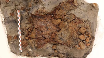 A 14th-century piece of armor was discovered in Norway.