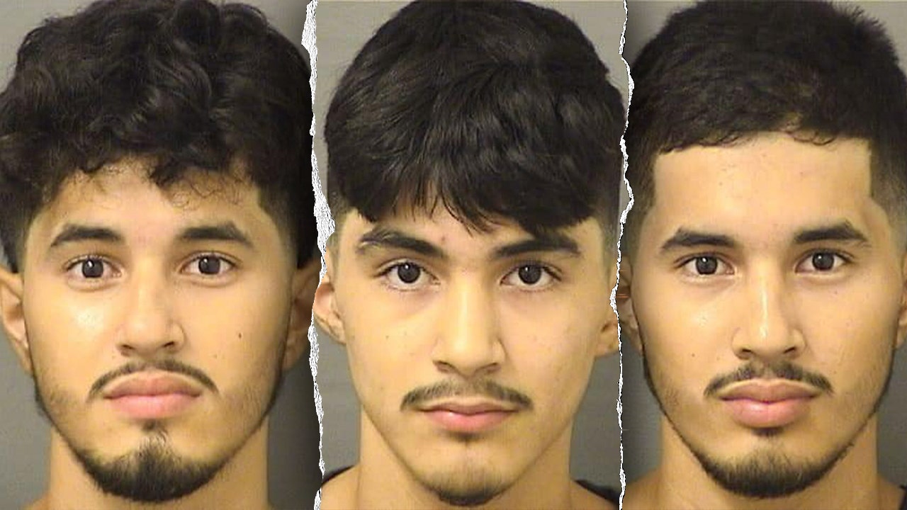 Wealthy Florida county sees arrest of illegal immigrants for child sexual crimes.