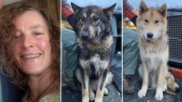 Missing Oregon hiker and her dogs suspended over 'weather conditions, likelihood of survivability'