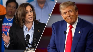 Kamala Harris is perceived as more radical than Trump by voters due to her liberal or progressive views.