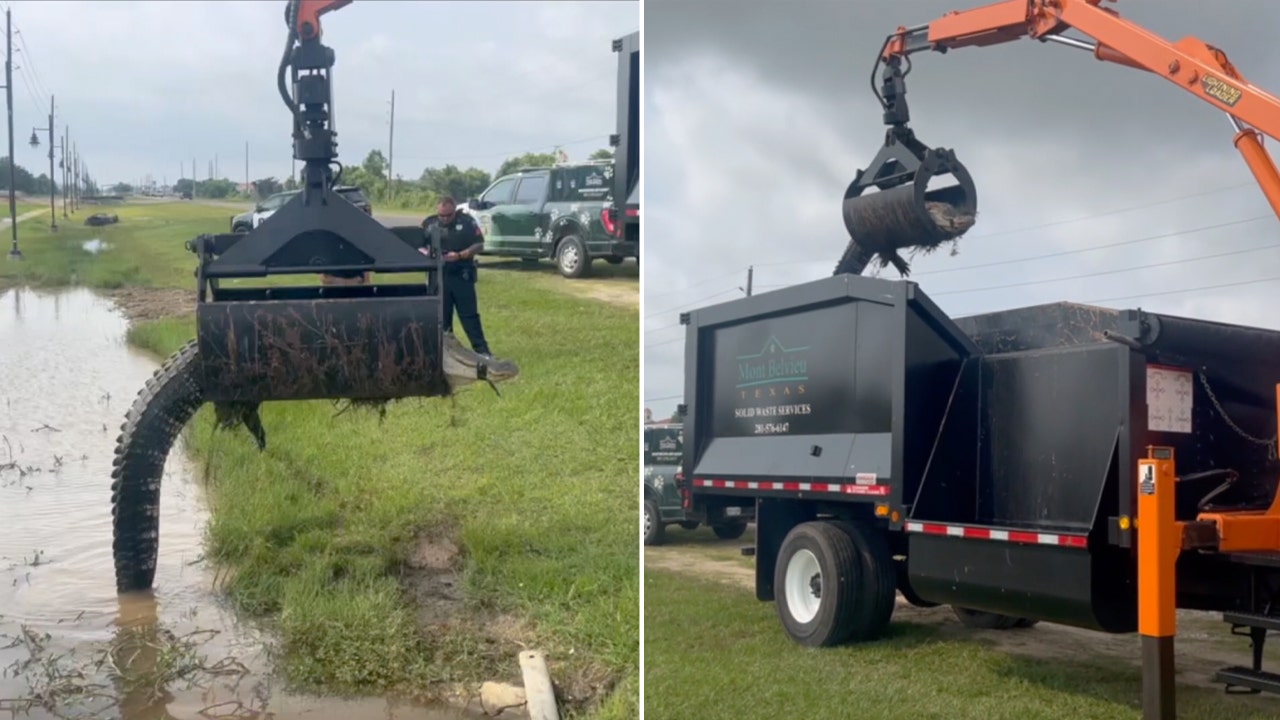 The Texas public works department successfully removes a 12-foot alligator using a grapple truck.