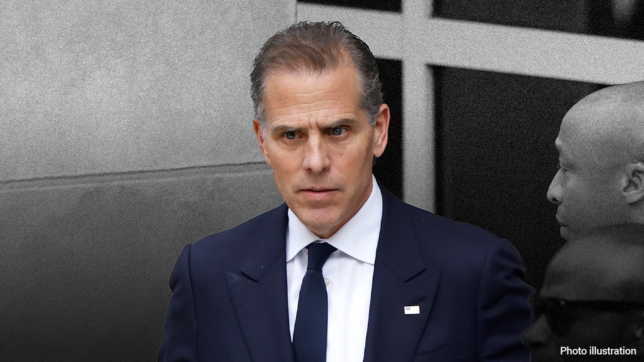 David Weiss has brought federal tax charges against Hunter Biden, and he plans to plead guilty.