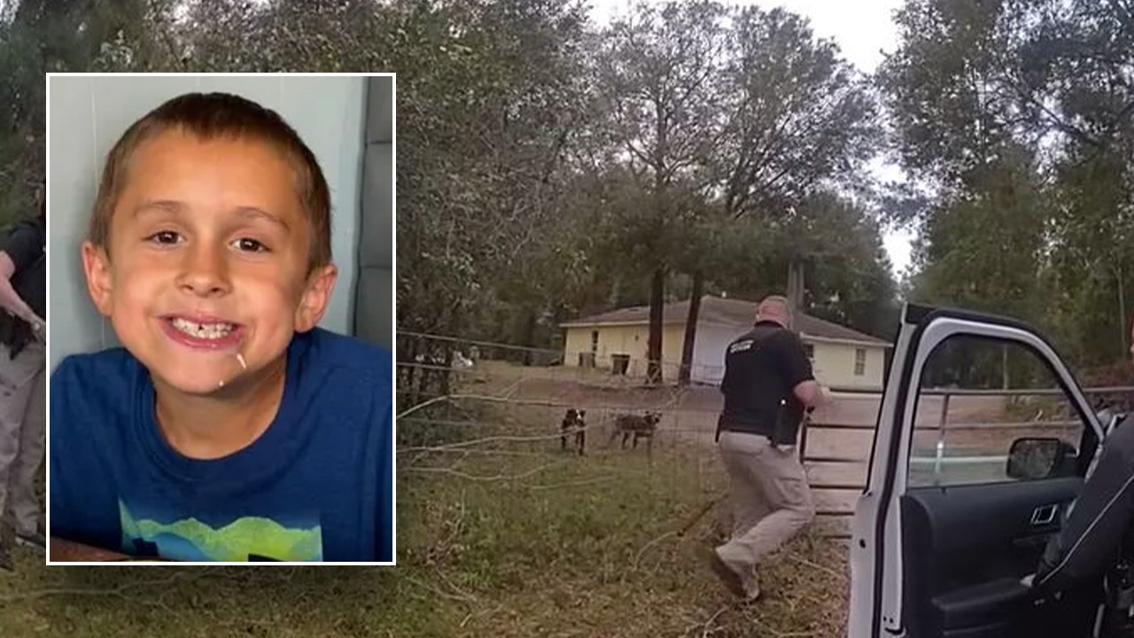 An 8-year-old Florida boy was "maliciously mauled" to death by dogs he stopped to pet while riding his bike, according to the sheriff.