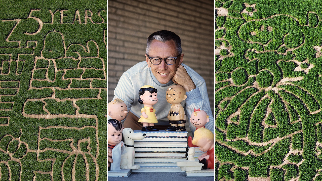 Nationwide, farmers commemorate the 75th anniversary of the Peanuts comic by carving its characters in corn mazes.