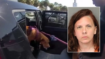 A Nashville woman was apprehended by Florida authorities following the rescue of her dog from a hot car at a beach.