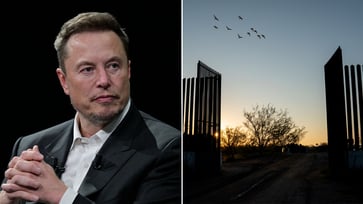 Elon Musk criticizes large government expenditure on illegal immigrants: 'It's mind-boggling!'