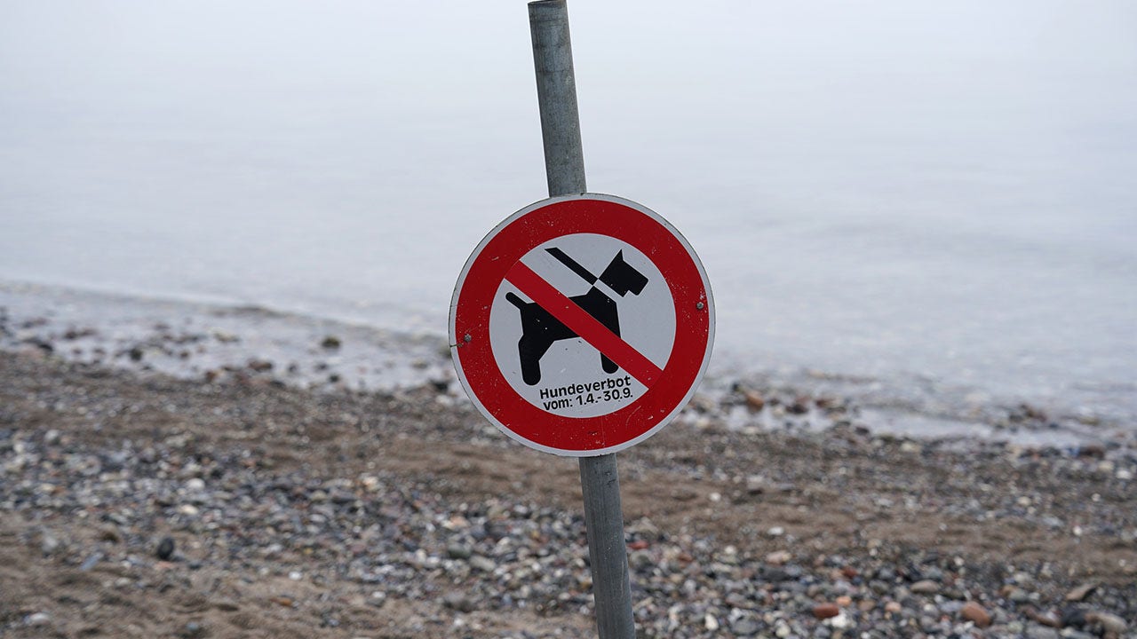 The Welsh government should establish dog-free zones to combat racism.