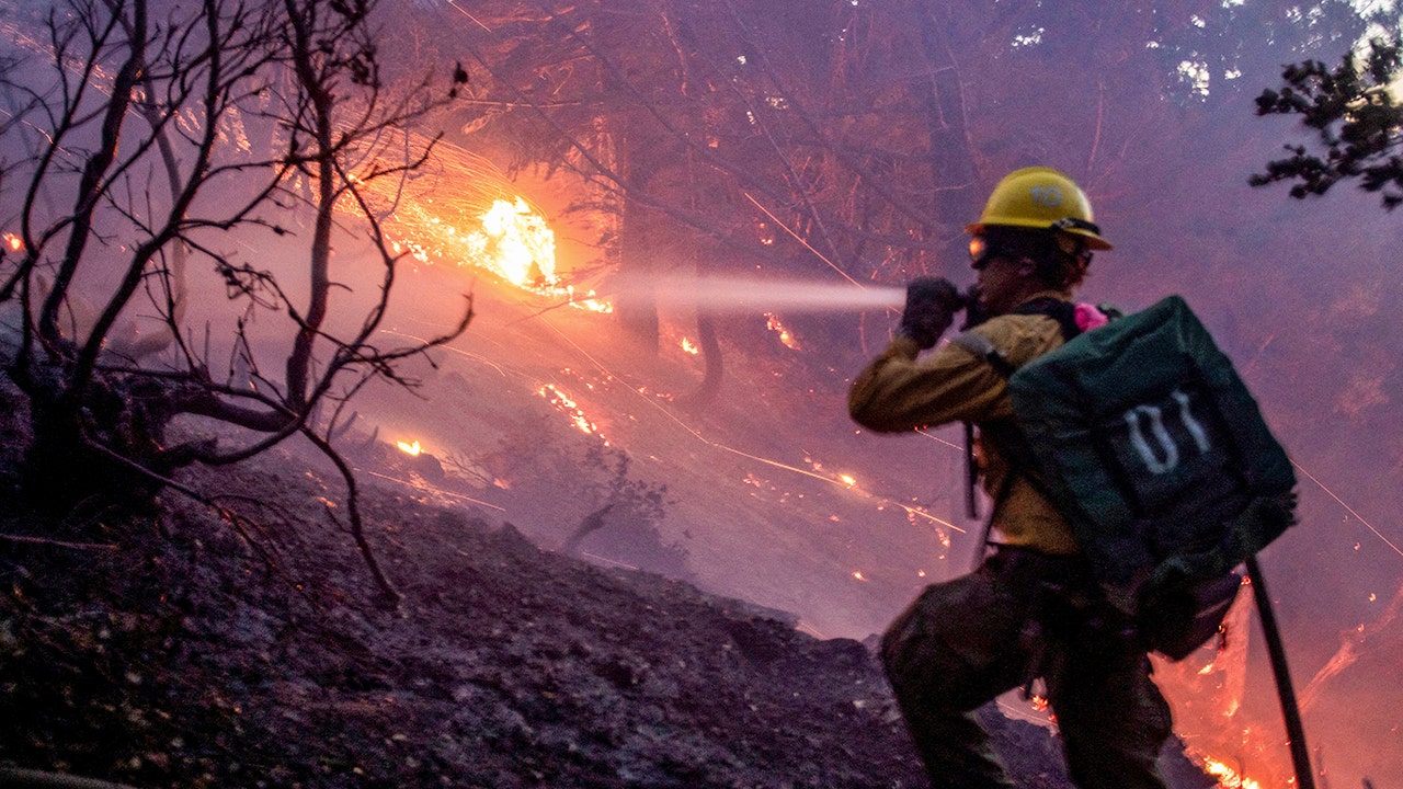 Judge Judy's son seeks to hold public officials accountable for the deadly LA wildfires.