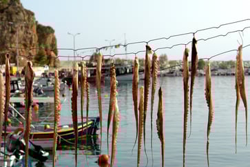 Discover the depth of Greek cuisine: A blend of varied tastes, a profound background, and unspoiled produce.