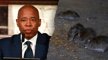 The inaugural 'Urban Rat Summit' is being held in New York City with the aim of addressing the city's rodent problem, which is seen as a 'quality of life issue'.