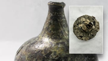 In the 1700s, near Florida, divers discovered "one-of-a-kind" alcohol bottles.