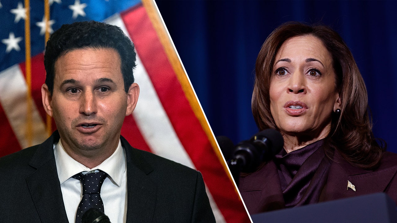 A Democratic lawmaker criticizes Kamala Harris and the Democrats for employing "unfamiliar" language following their election defeat.