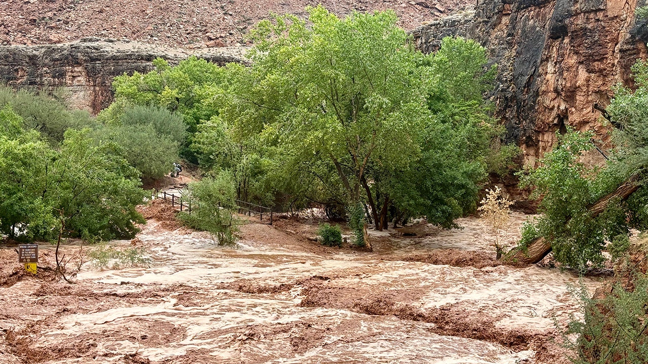 A Texas hiker describes his Grand Canyon flash flood rescue as the "most intense day."