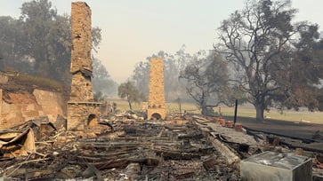 Stunning 'before and after' images of California wildfires at historic state parks: 'Devastating'