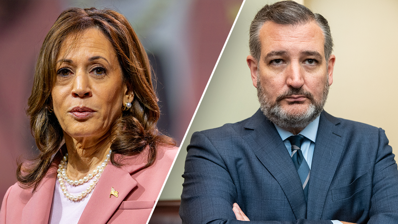 VP Harris is "actively promoting" illegal immigration in collaboration with Mexico, Cruz alleges.