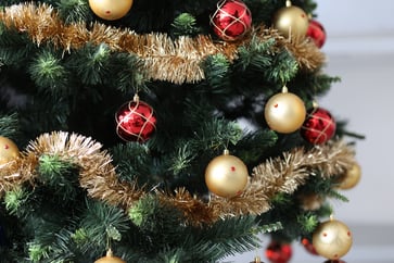 Discover festive and fake options for your ideal Christmas tree.